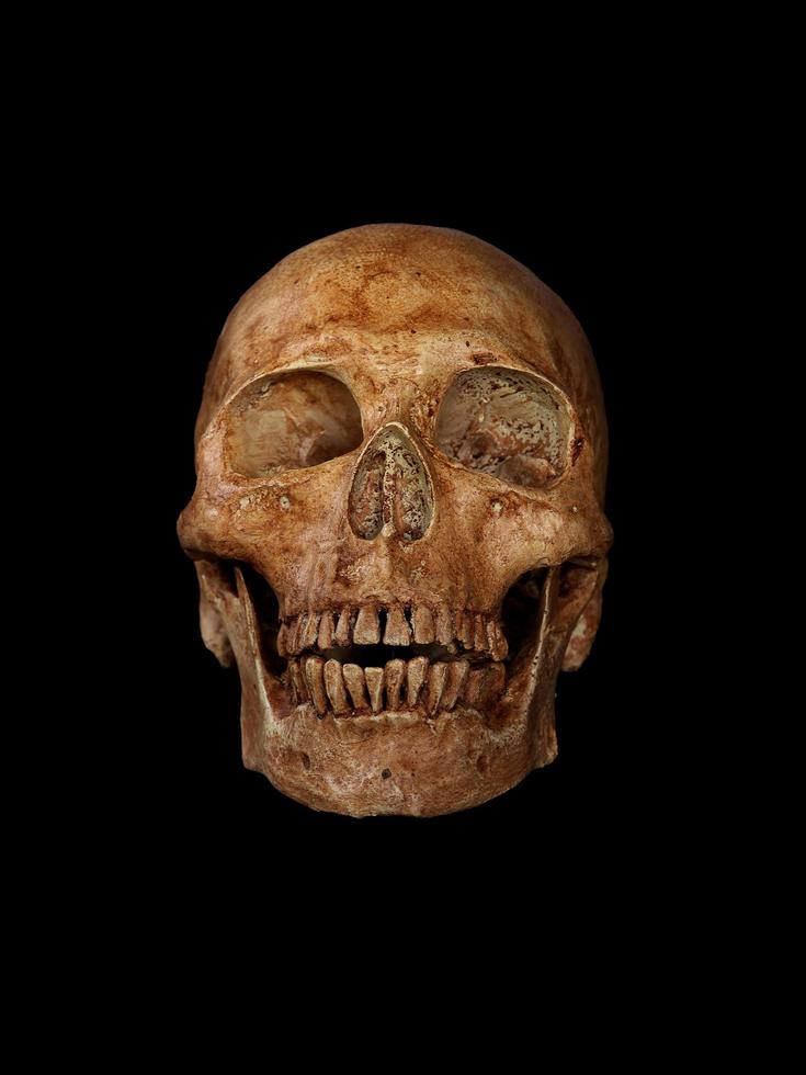 Still life with human skull on dark background photo