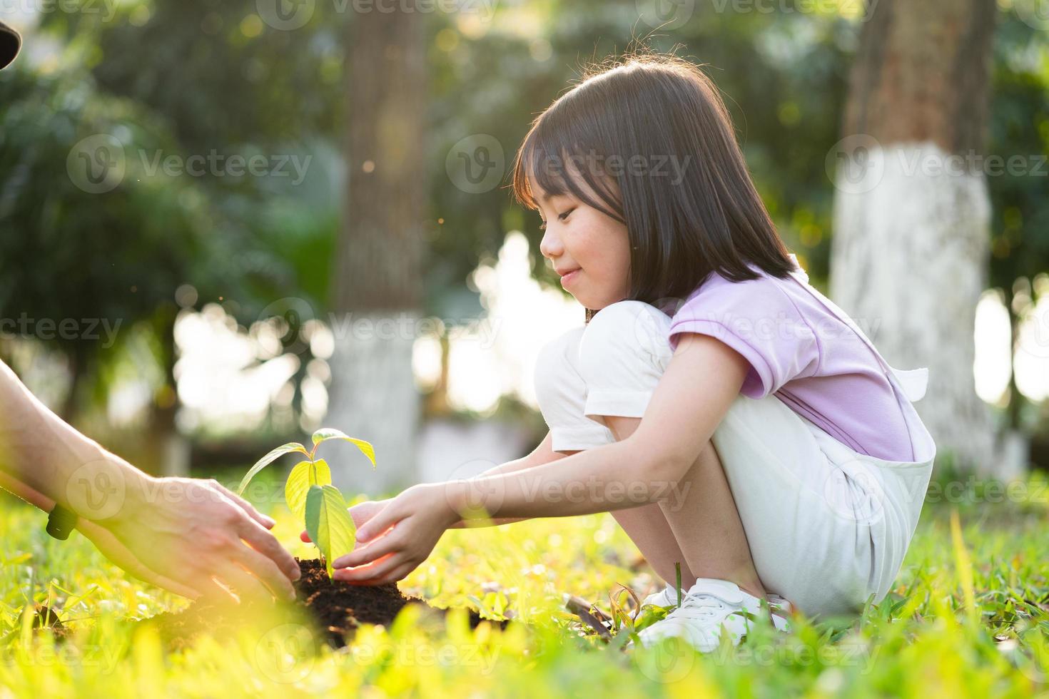 imagen niña asiática sosteniendo un retoño en la mano foto