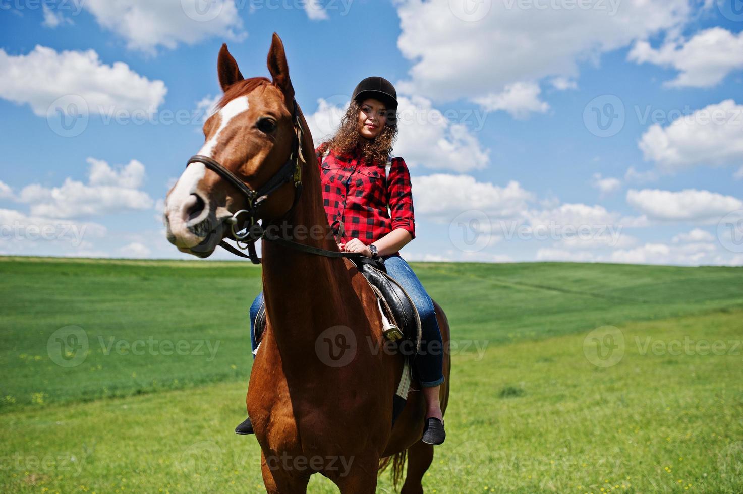 Young pretty girl riding a horse on a field at sunny day. photo