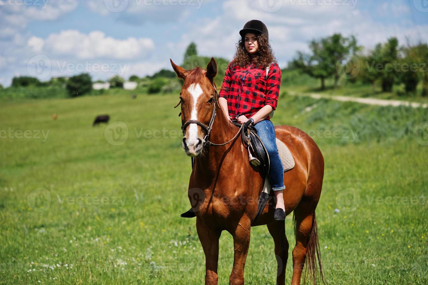 Young pretty girl riding a horse on a field at sunny day. photo