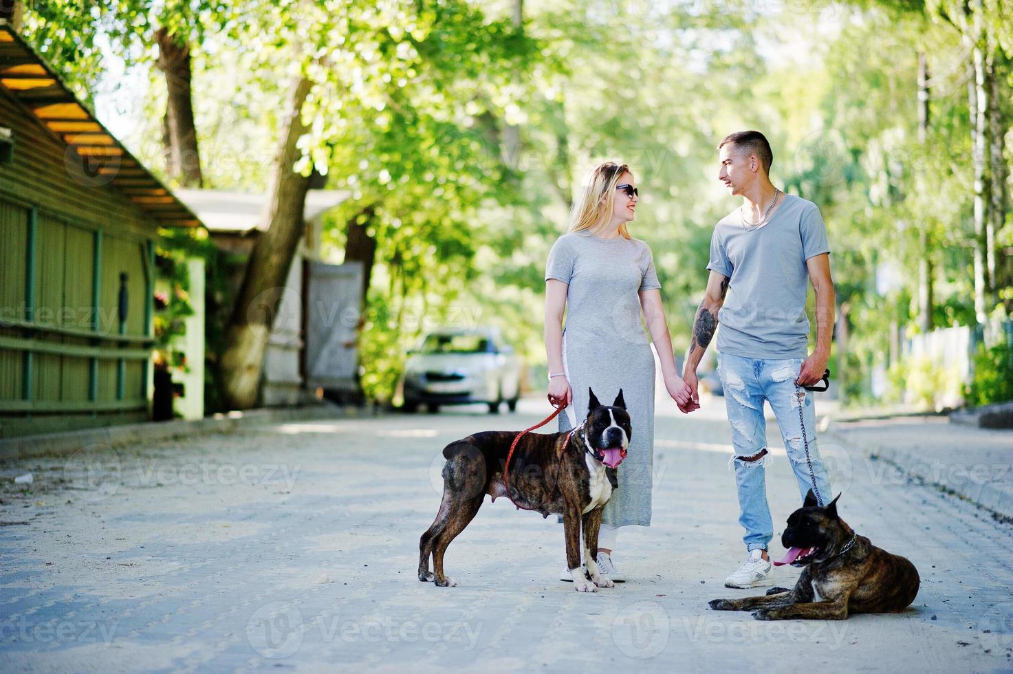 Couple in love with two dogs pit bull terrier on a walk. photo