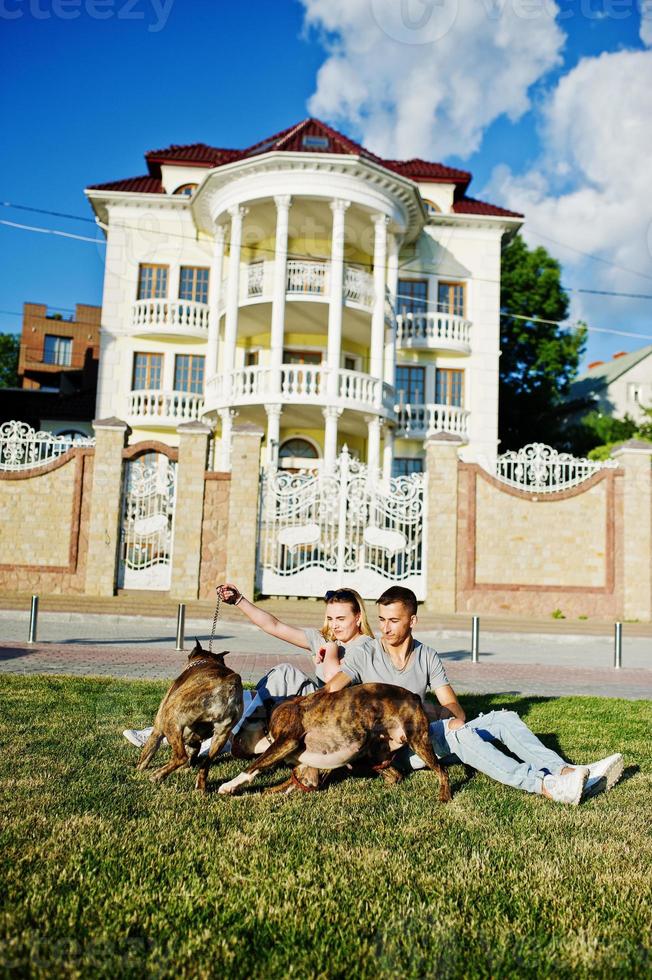 Couple in love with two dogs pit bull terrier on a walk. photo