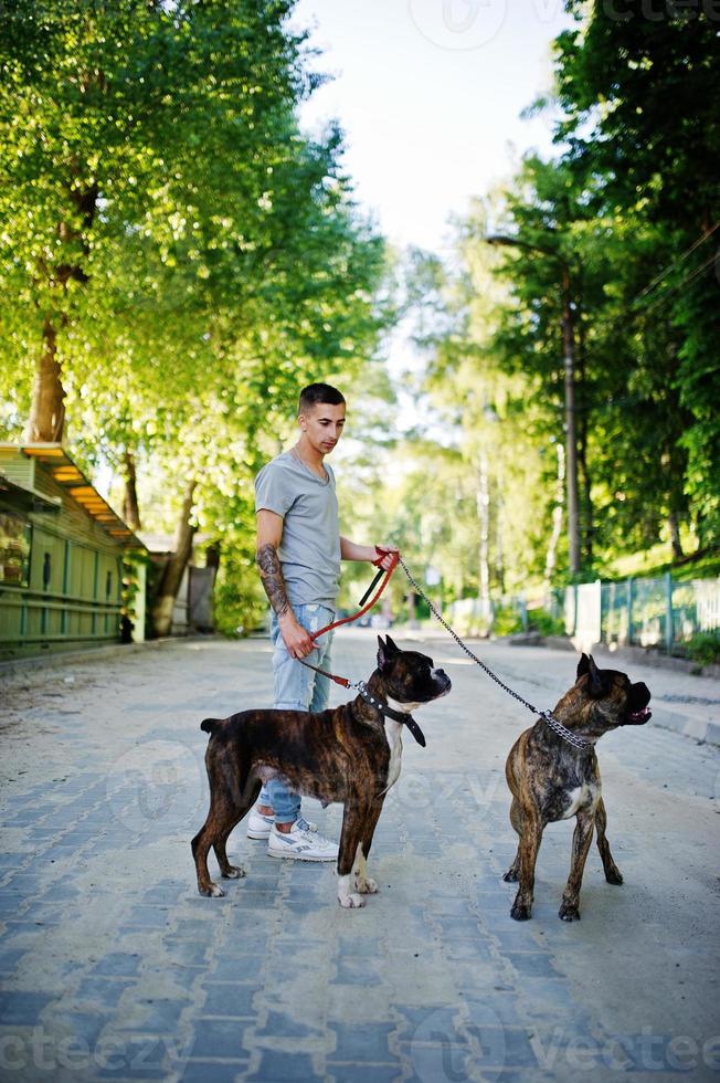 hombre con dos perros pit bull terrier en un paseo. foto