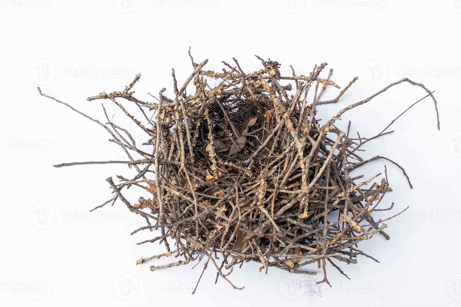 isolated empty bird's nest with little shadow on white background photo