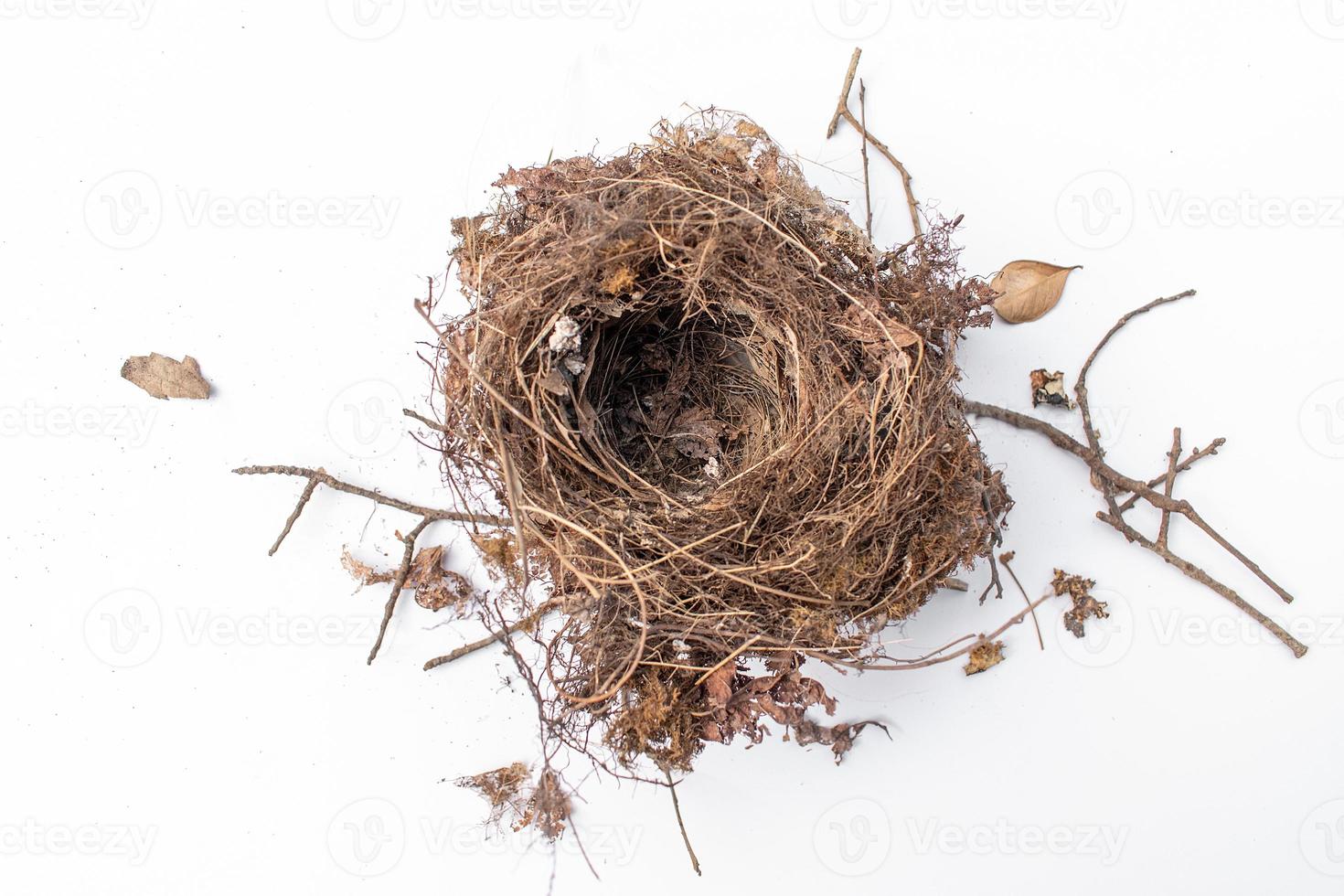 isolated empty bird's nest with little shadow on white background photo