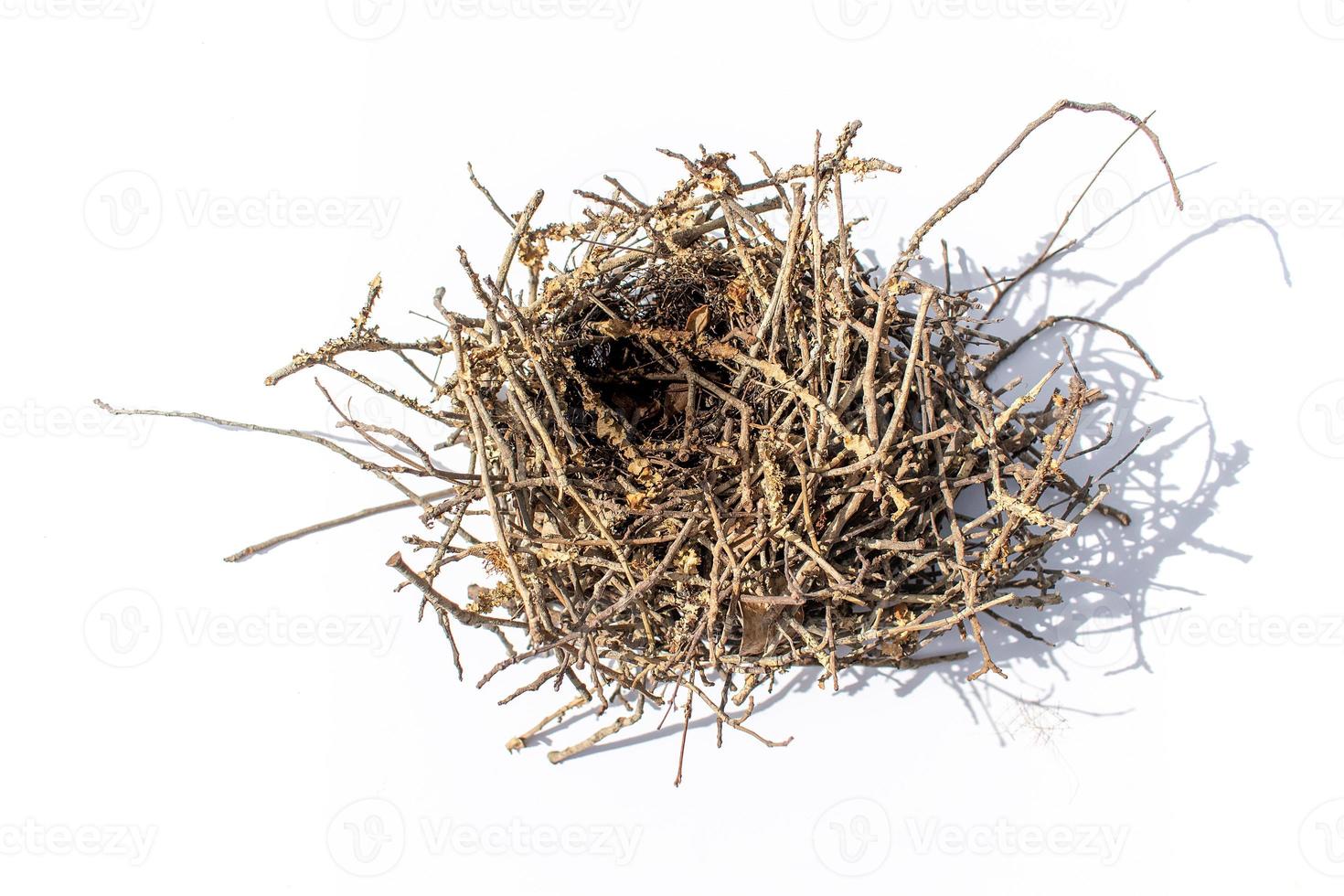isolated empty bird's nest with little shadow on white background photo