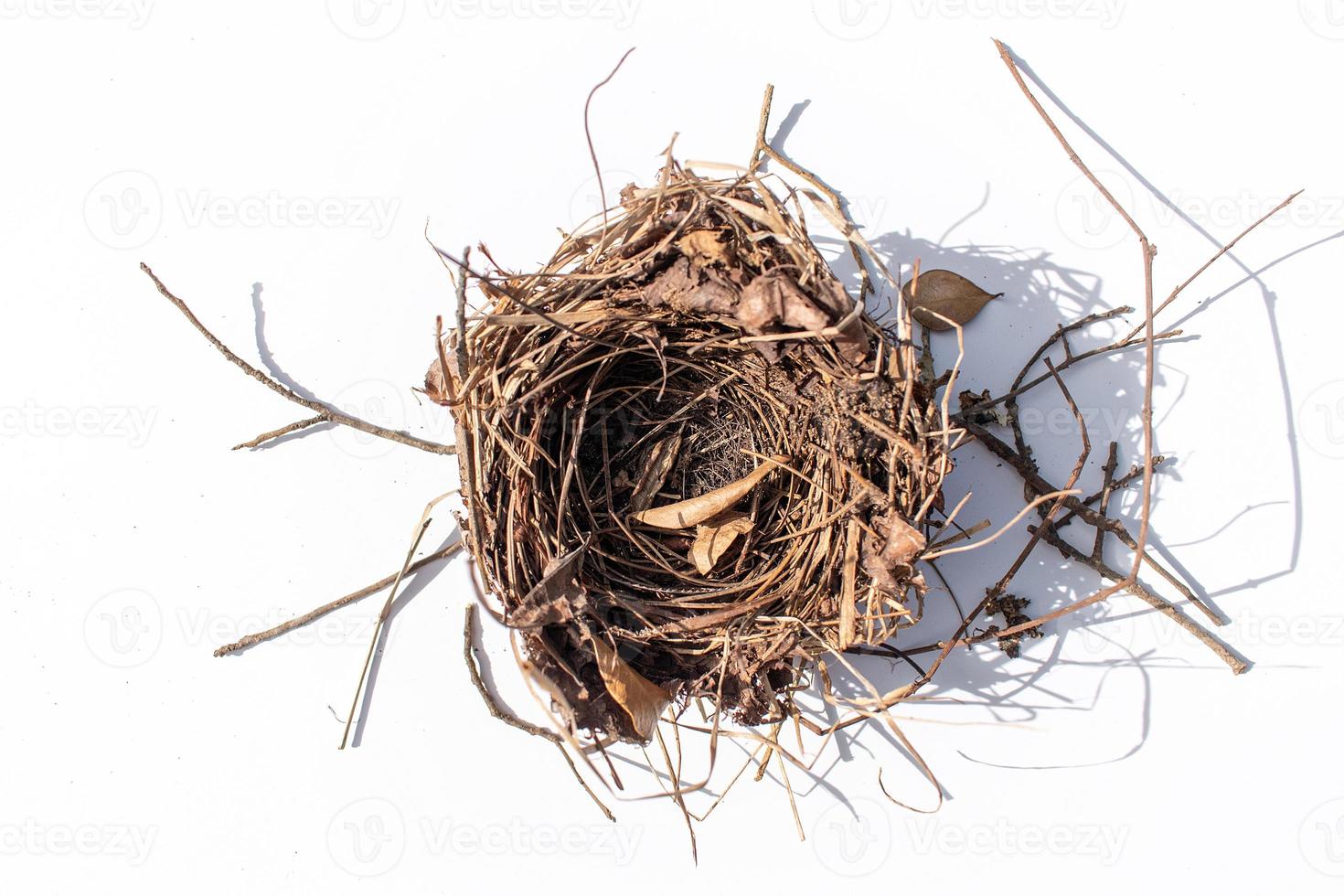 isolated empty bird's nest with little shadow on white background photo