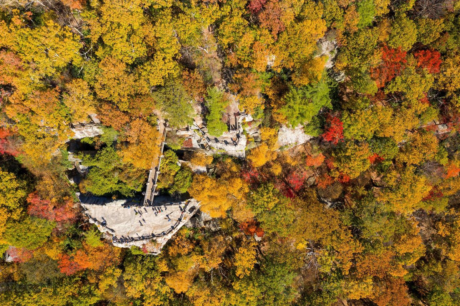 Coopers Rock state park overlook over the Cheat River in West Virginia with fall colors photo