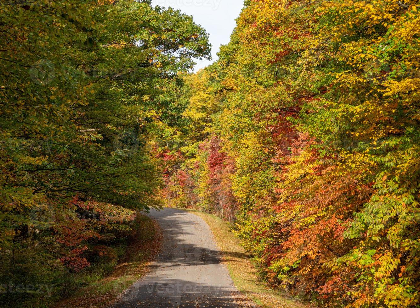 Road in Coopers Rock state park in West Virginia with fall colors photo