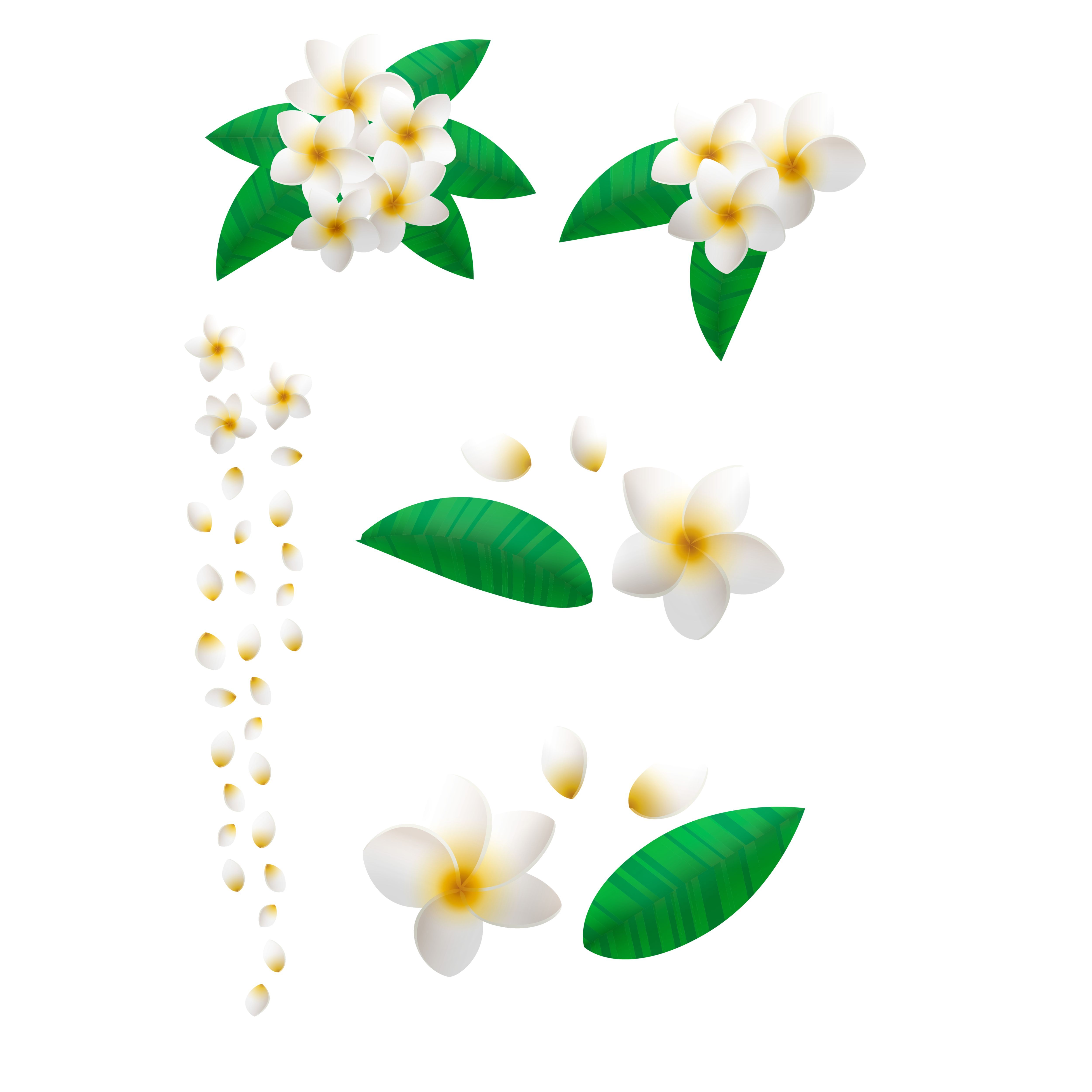 Funeral Background Stock Photos, Images and Backgrounds for Free Download