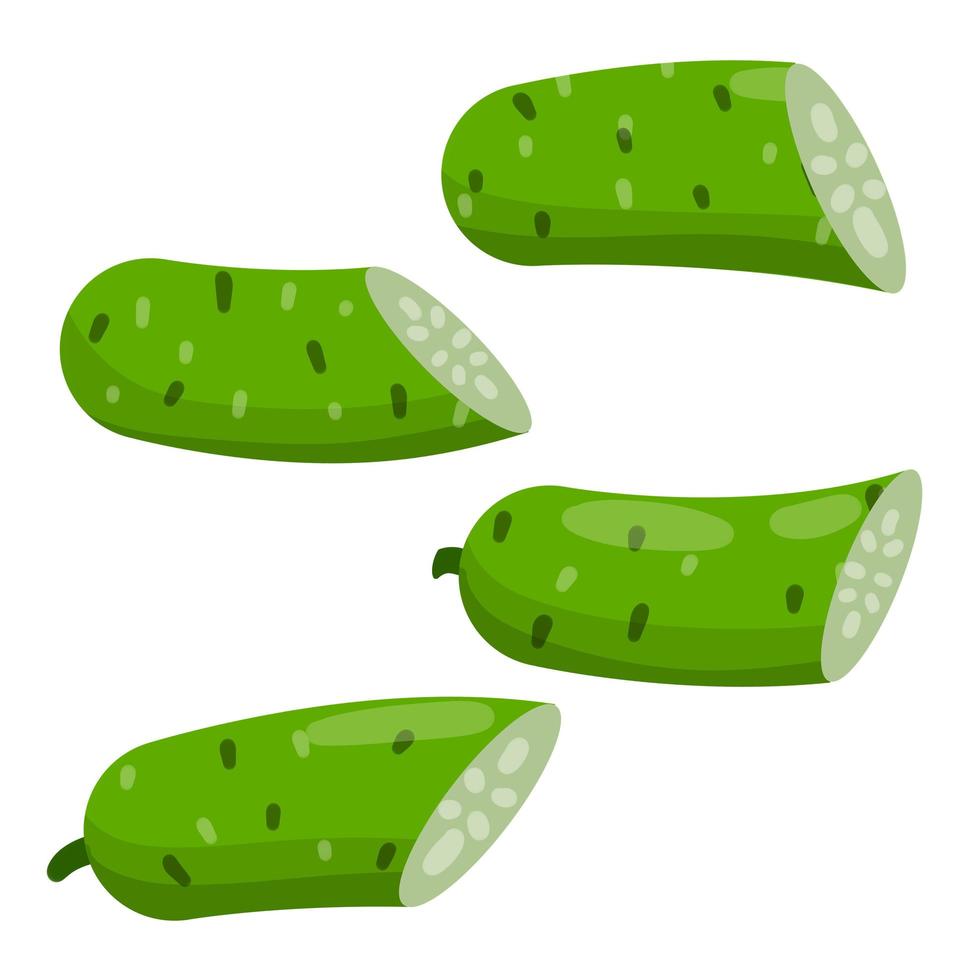 Cucumber. Slice of Green fresh vegetable vector