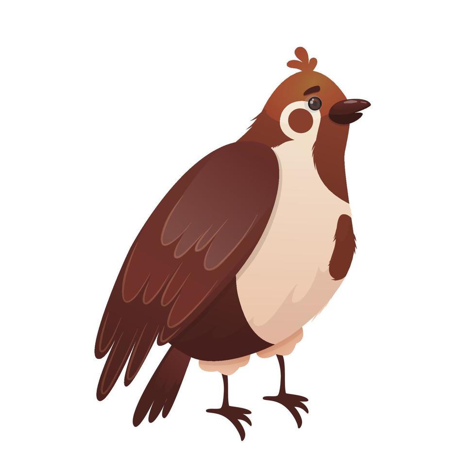 Cartoon sparrow isolated on white background. Small brown bird with a beak and wings. Vector illustration.