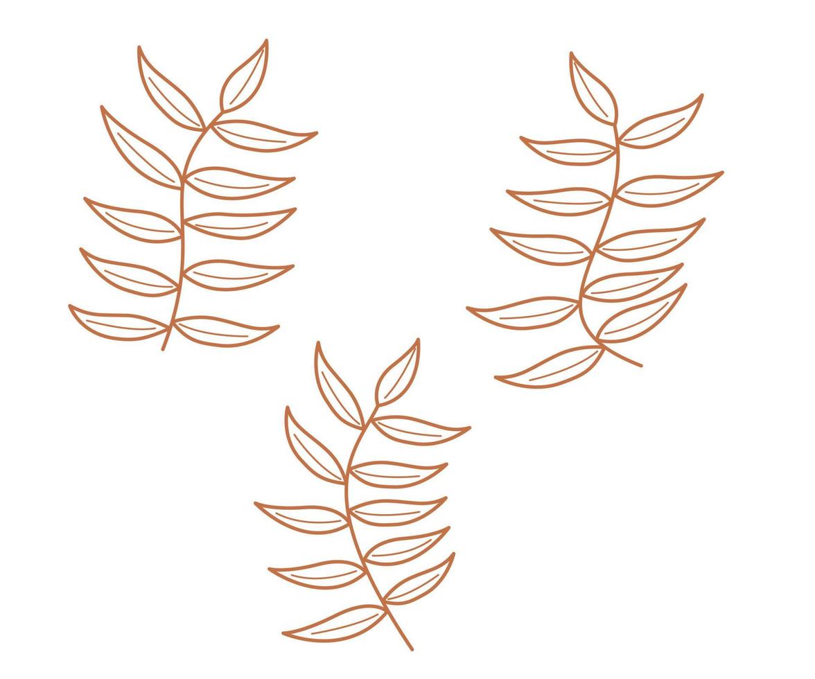 Floral decoration branch leaf plant line, Design element for cards, invitations, posters, posters, backgrounds, Vector hand drawn set of various silhouette branches with leaves in outline