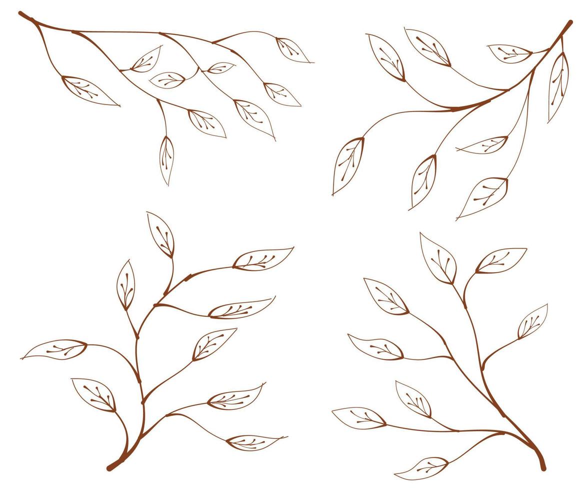 branch, leaves, set of floral elements, leaves vector elements, hand drawn leaves, branch and leaves, elegant illustration for design leaf