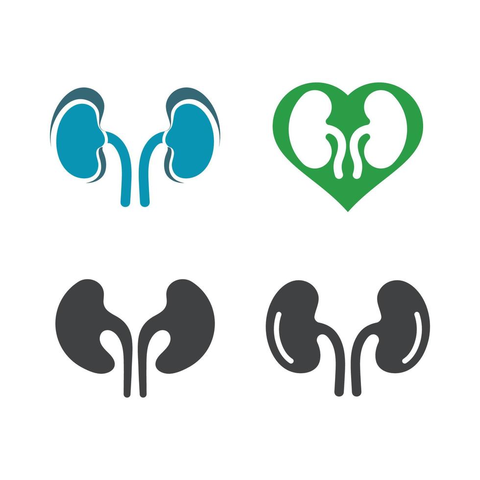 Kidney healthy logo vector