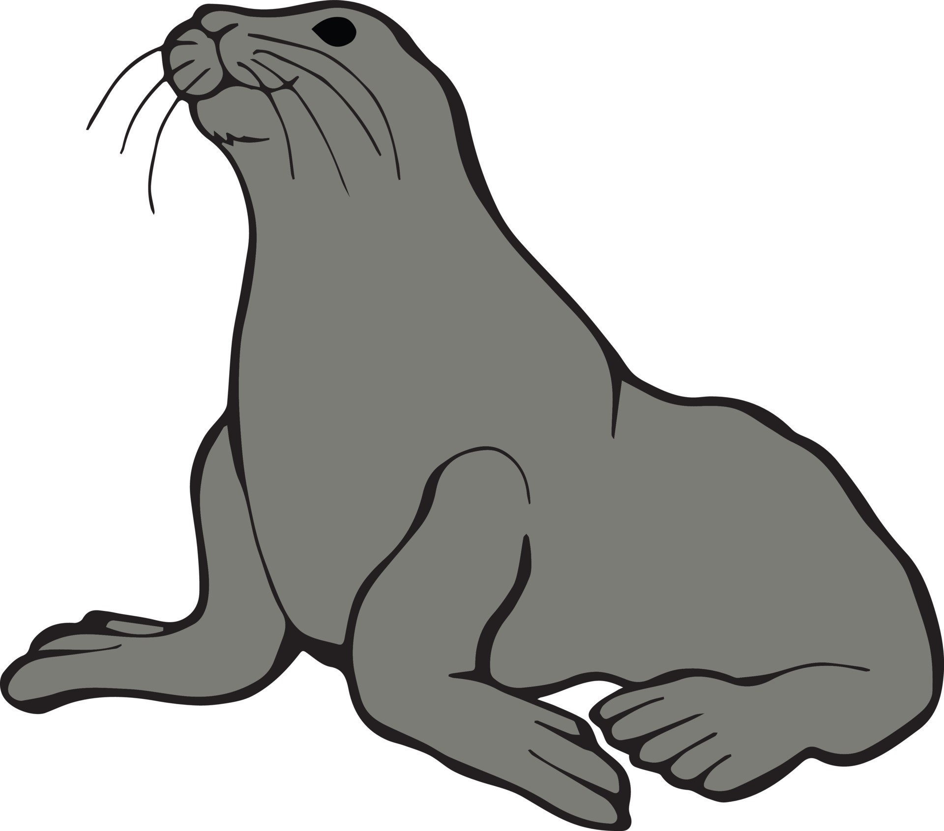 Beautiful seal vector 7224451 Vector Art at Vecteezy