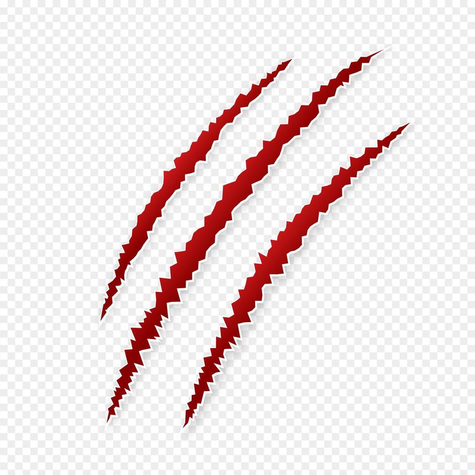 Claws scratches blood isolated on transparent background vector