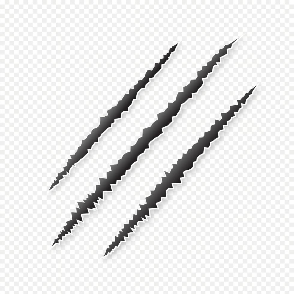 Claws scratches isolated on transparent background vector