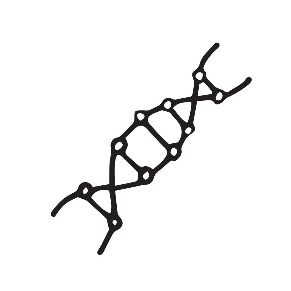 dna doodle style vector