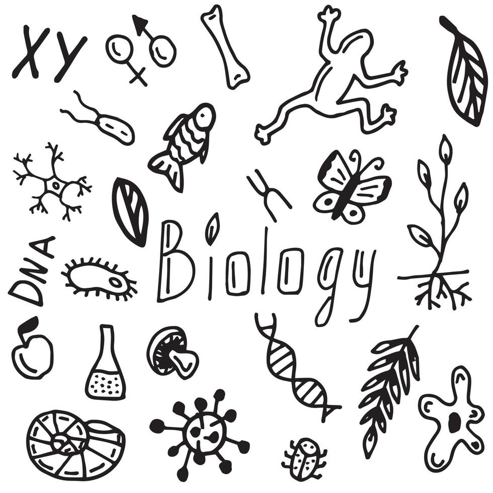 conjunto de doodle de estilo de biología vector