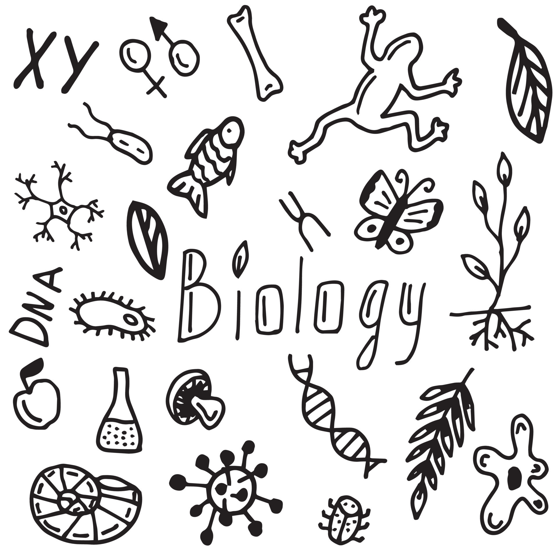 set of biology style doodle 7225520 Vector Art at Vecteezy