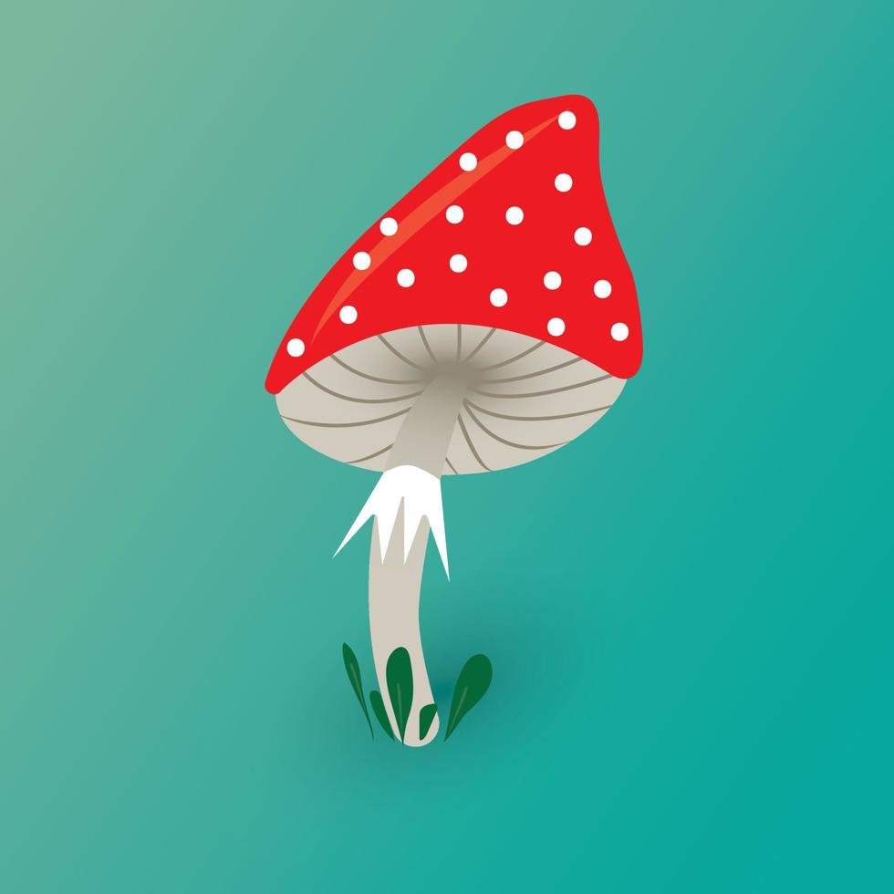 mushroom fly agaric vector
