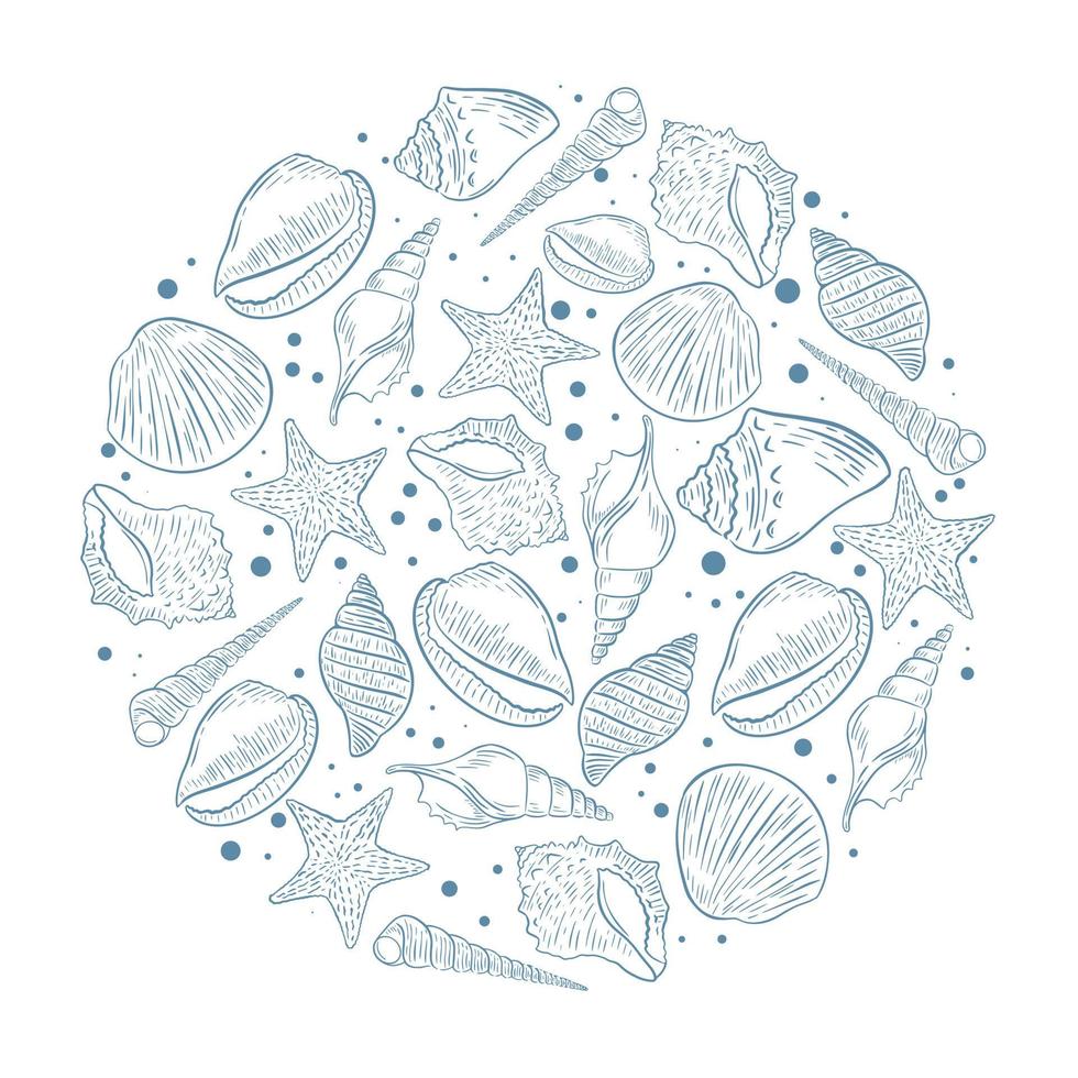 Seashells round template vector illustration