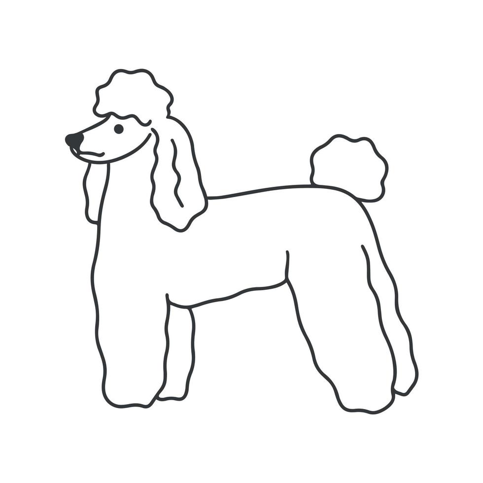 Poodle dog stands doodle style vector illustration