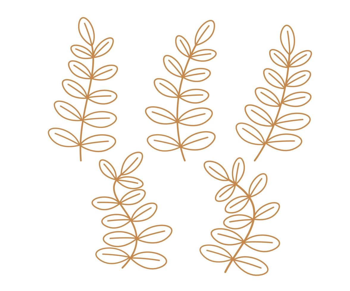 elementos de diseño de contorno dibujados a mano vectoriales, hojas y coronas decorativas dibujadas a mano, ramas de árboles con hojas vector