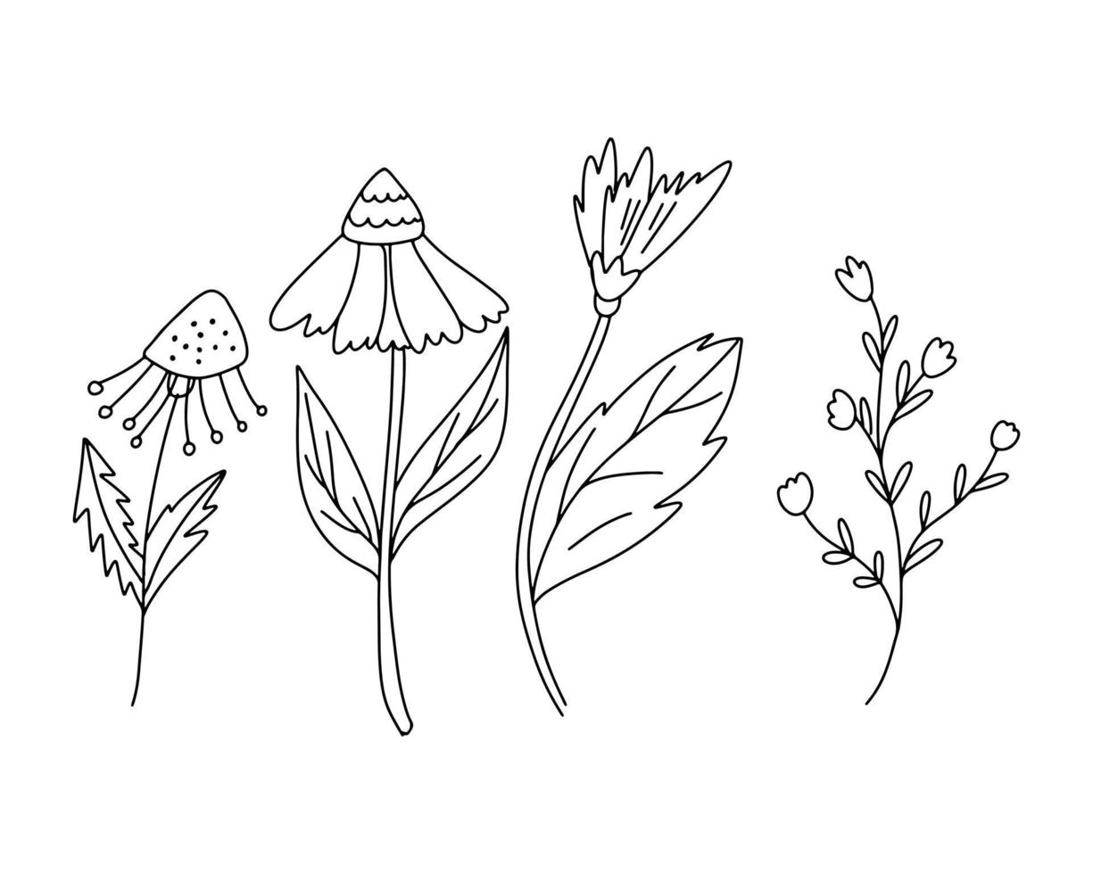 A set of summer flowers hand-drawn with a black outline vector