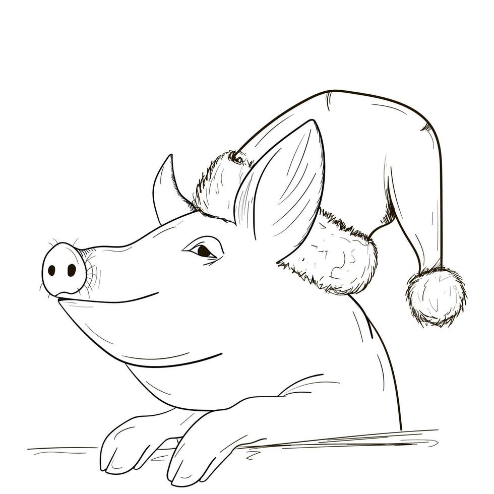 A pig sketch. Chinese New Year vector