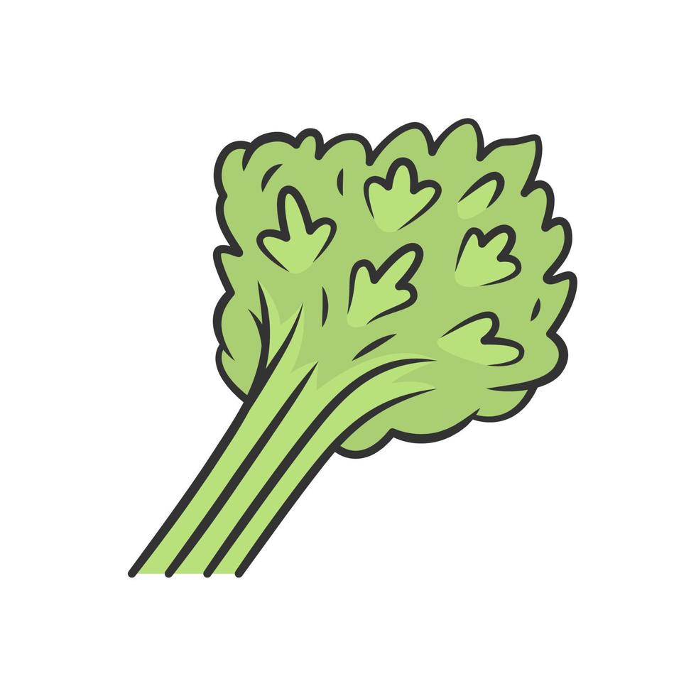 icono de color de perejil. planta de agricultura de condimento. hojas verdes frescas de granja. granja de hortalizas. hojas de hierbas aromáticas. ingrediente de ensalada. nutrición saludable. verdor. comida vegana. ilustración vectorial aislada vector