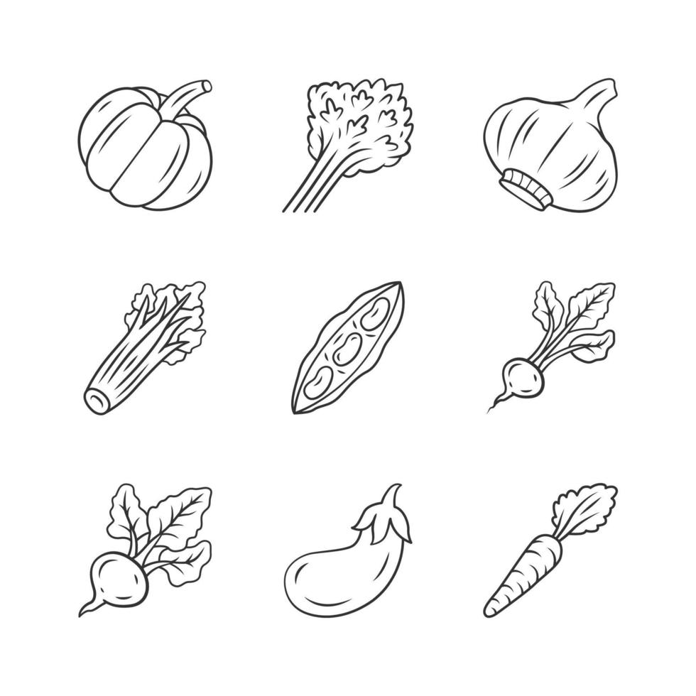 Vegetables linear icons set. Pumpkin, beet, corn, tomato, pepper. Vitamin and diet. Healthy nutrition. Thin line contour symbols. Isolated vector outline illustrations. Editable stroke