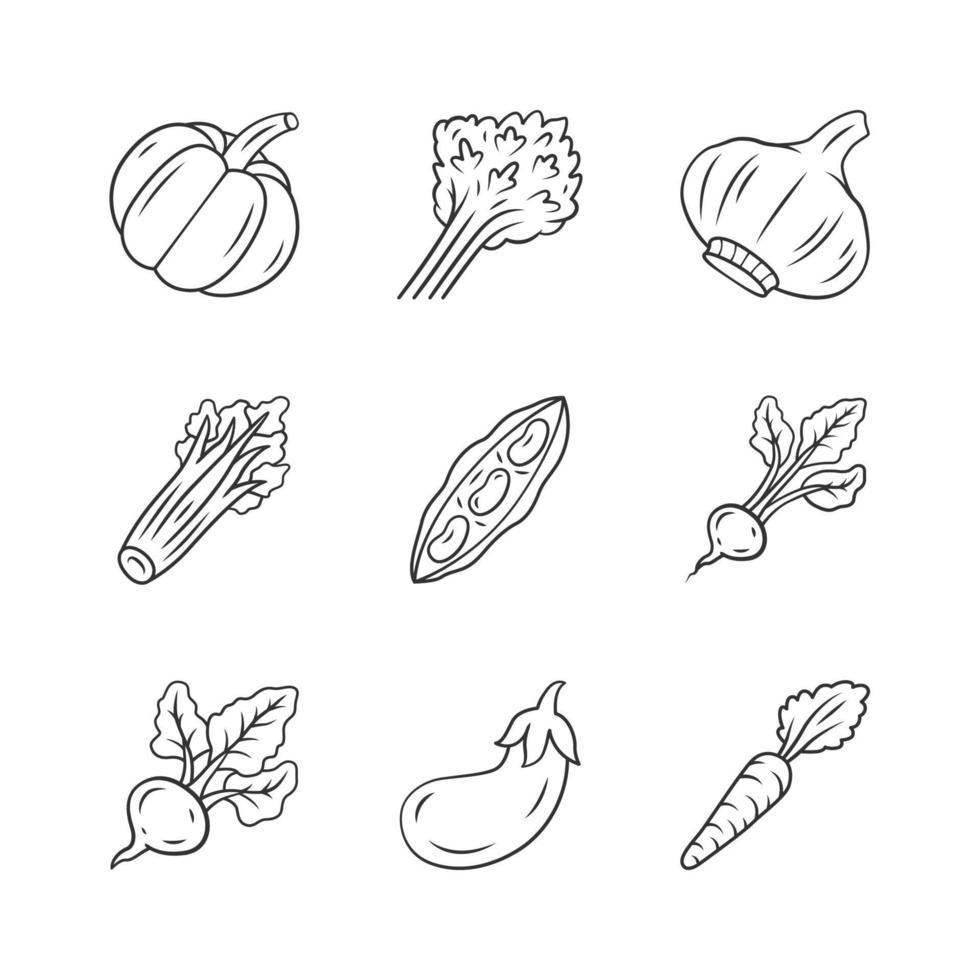 conjunto de iconos lineales de verduras. calabaza, remolacha, maíz, tomate, pimiento. vitamina y dieta. nutrición saludable. símbolos de contorno de línea delgada. ilustraciones aisladas de contorno vectorial. trazo editable vector