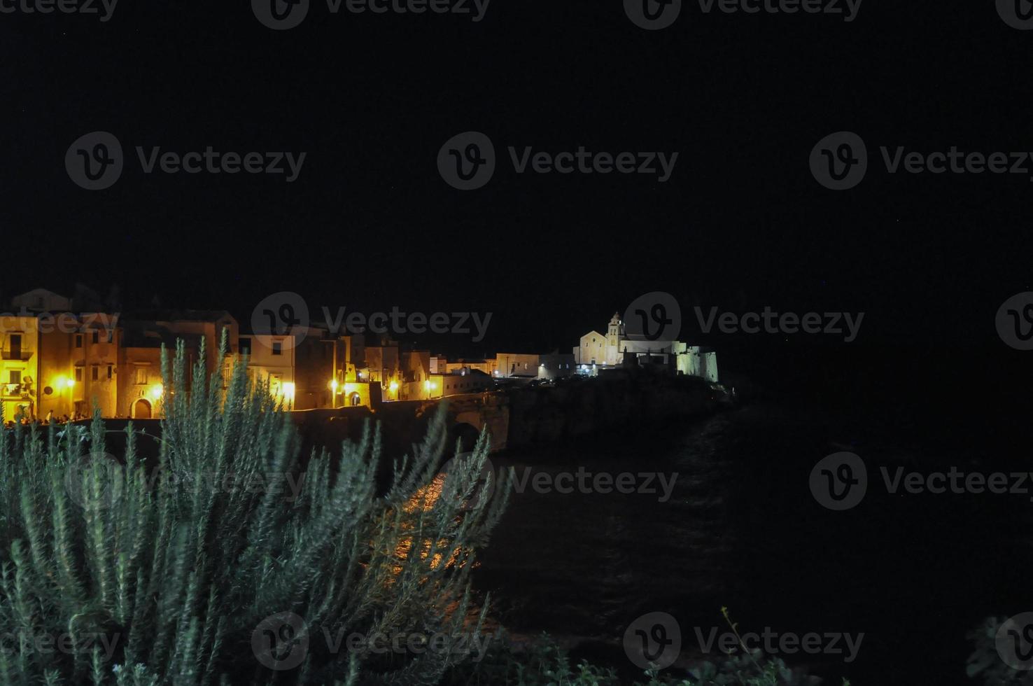 View of the city of Vieste at night photo