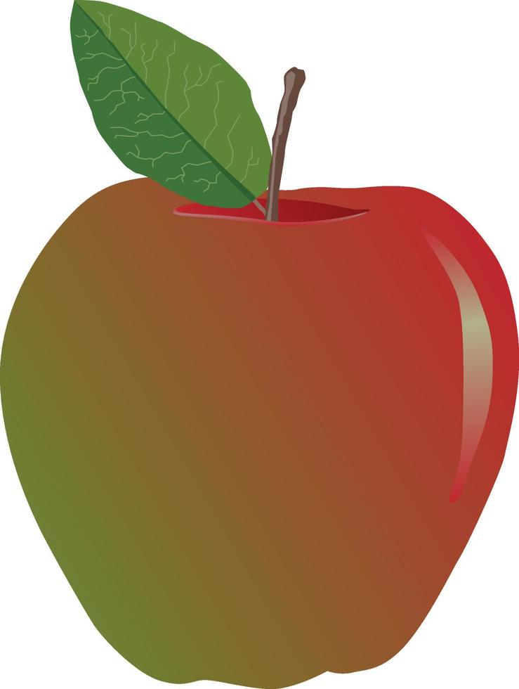 Nice juicy apple vector