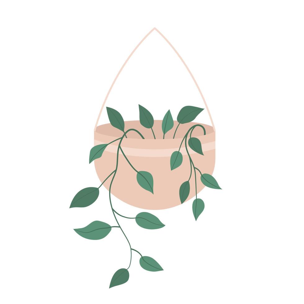 Potted plant in flat style. House plant in pot or planter. Vector illustration isolated on white background