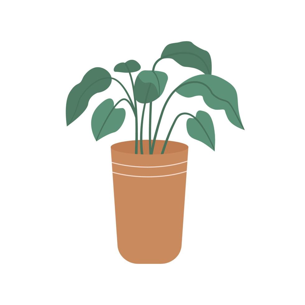 planta en maceta de estilo plano. planta de casa en maceta o jardinera. ilustración vectorial aislado sobre fondo blanco vector