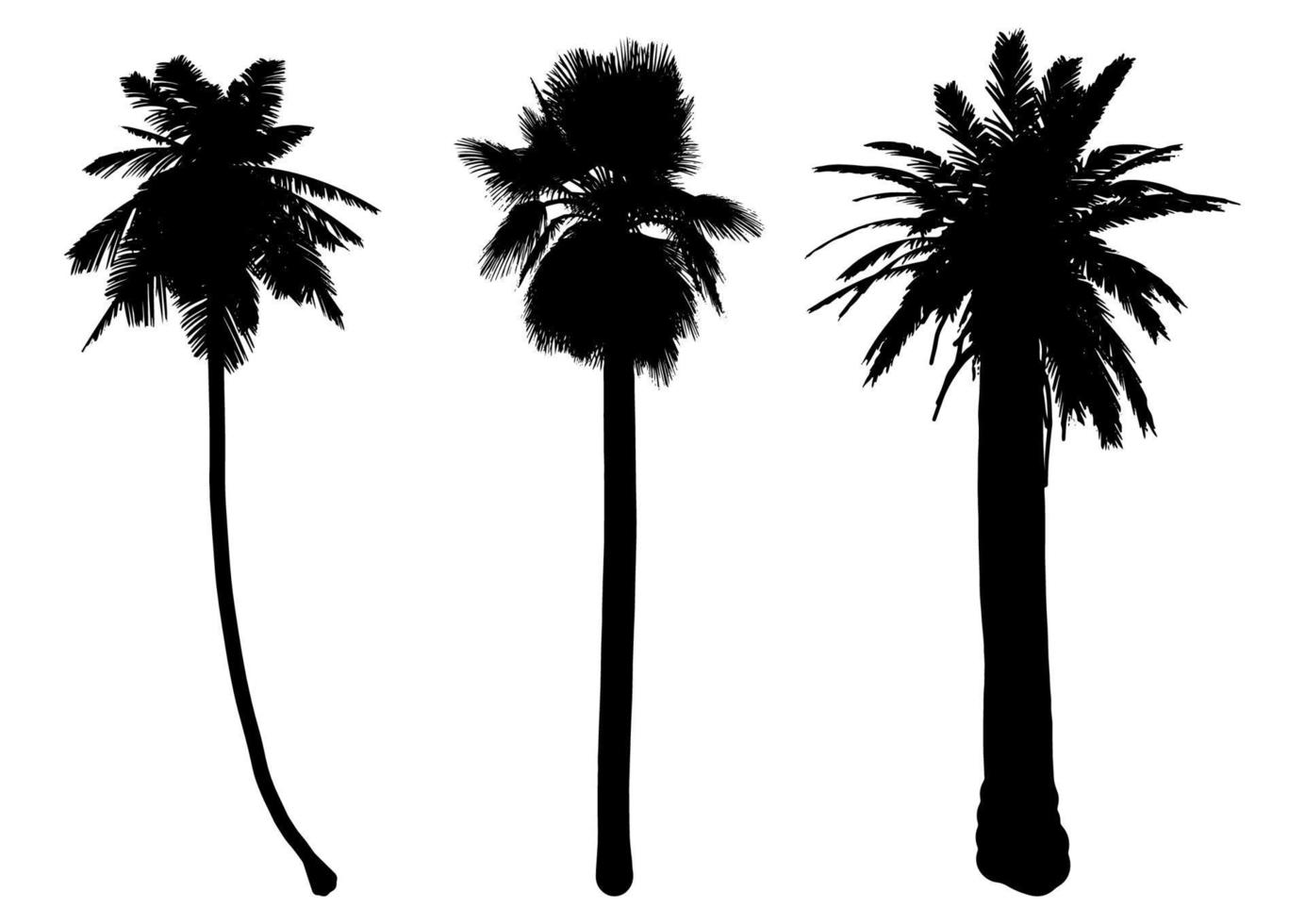 collection of palm tree silhouettes vector