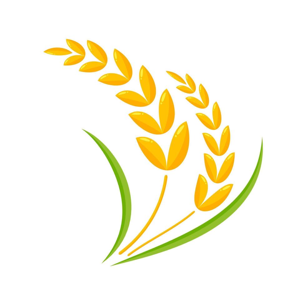 Ears of wheat. Whole grains for making bread. vector