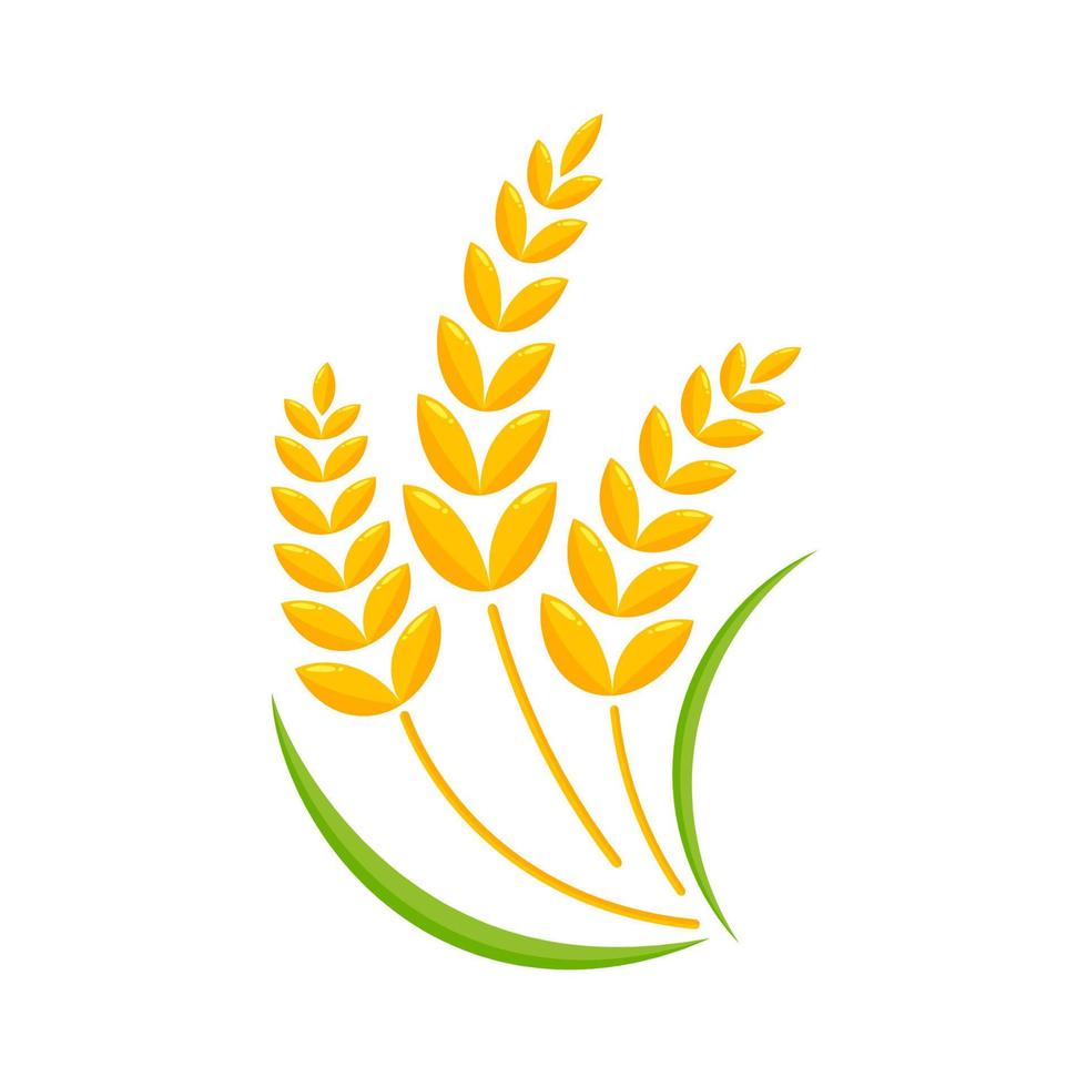 Ears of wheat. Whole grains for making bread. vector