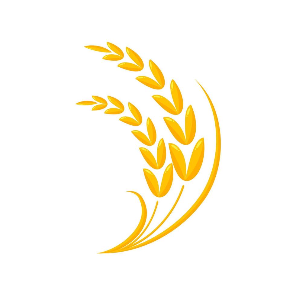 Ears of wheat. Whole grains for making bread. vector