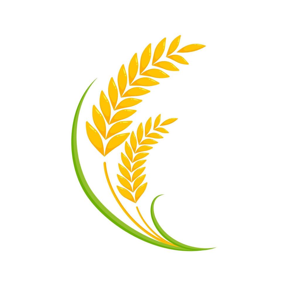 Ears of wheat. Whole grains for making bread. vector