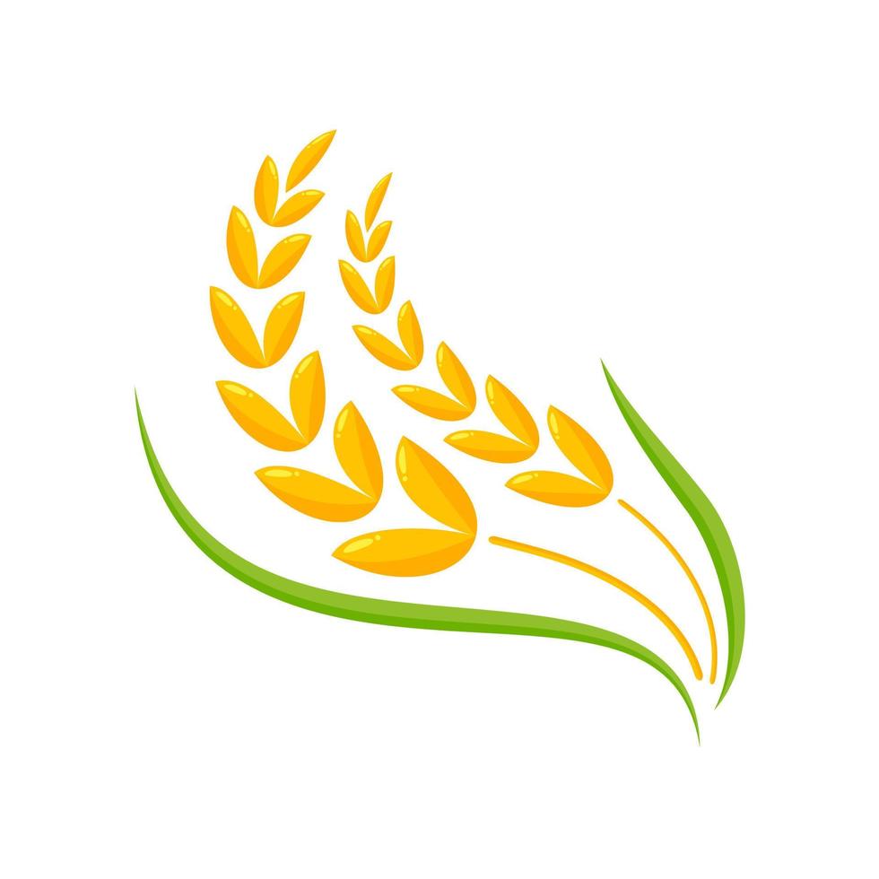 Ears of wheat. Whole grains for making bread. vector