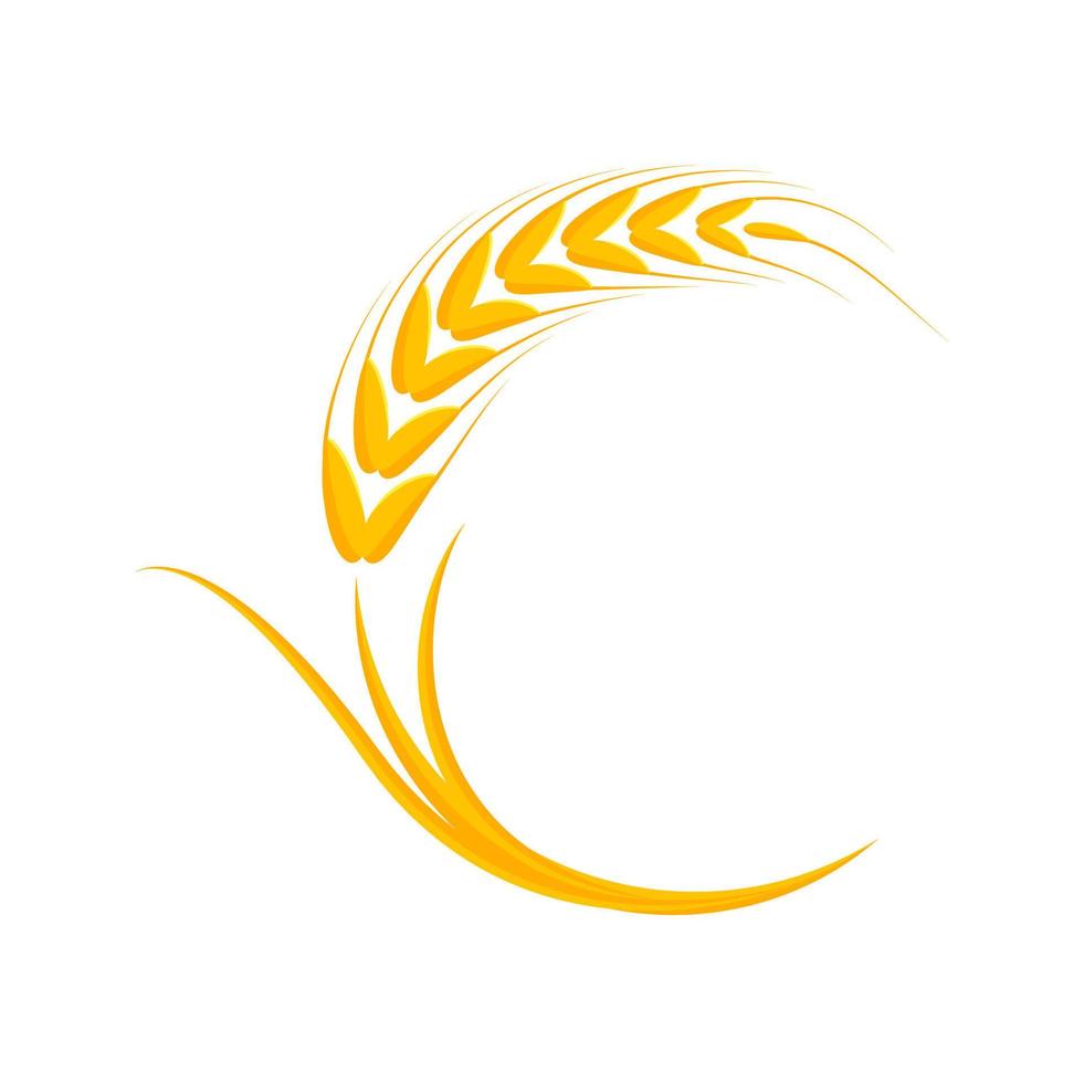 Ears of wheat. Whole grains for making bread. vector