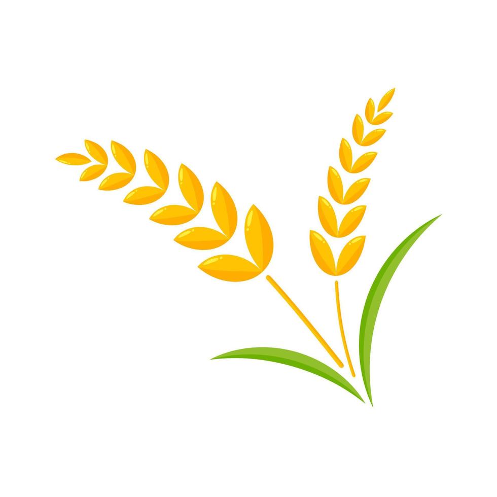 Ears of wheat. Whole grains for making bread. vector