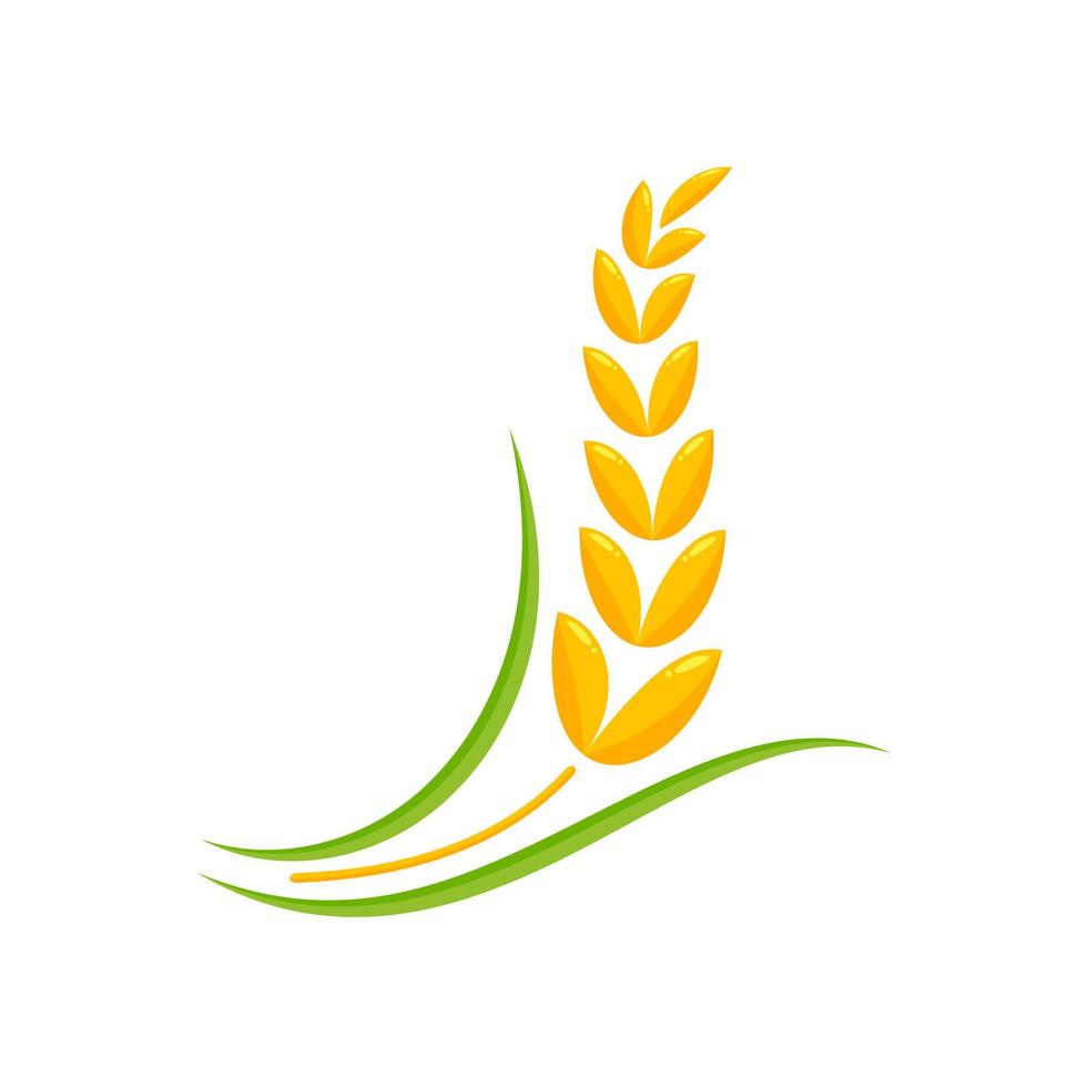 Ears of wheat. Whole grains for making bread. vector