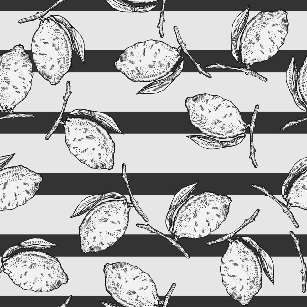 Seamless pattern lemon on branch with leaves engraving. Vintage background of citrus fruits in hand drawn style. vector