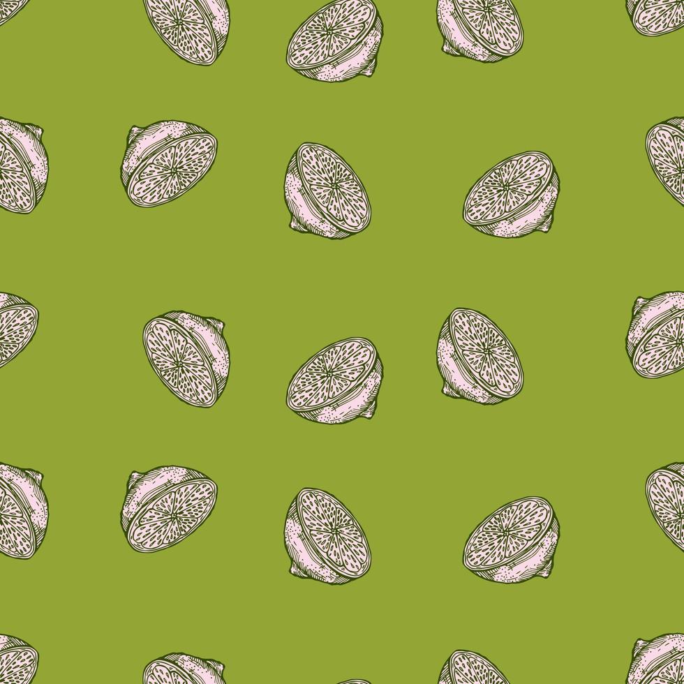 Seamless pattern lemon half engraving. Vintage background of citrus fruits in hand drawn style. vector