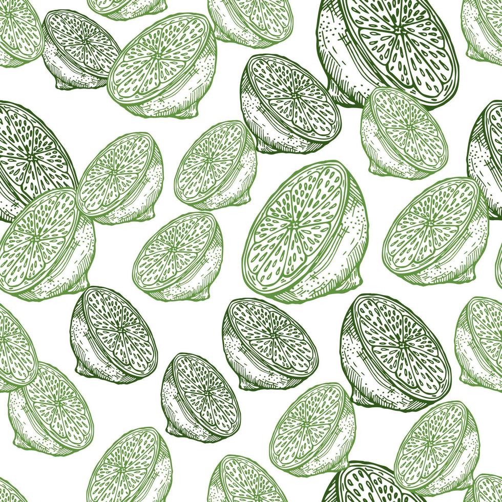 Seamless pattern lemon half engraving. Vintage background of citrus fruits in hand drawn style. vector